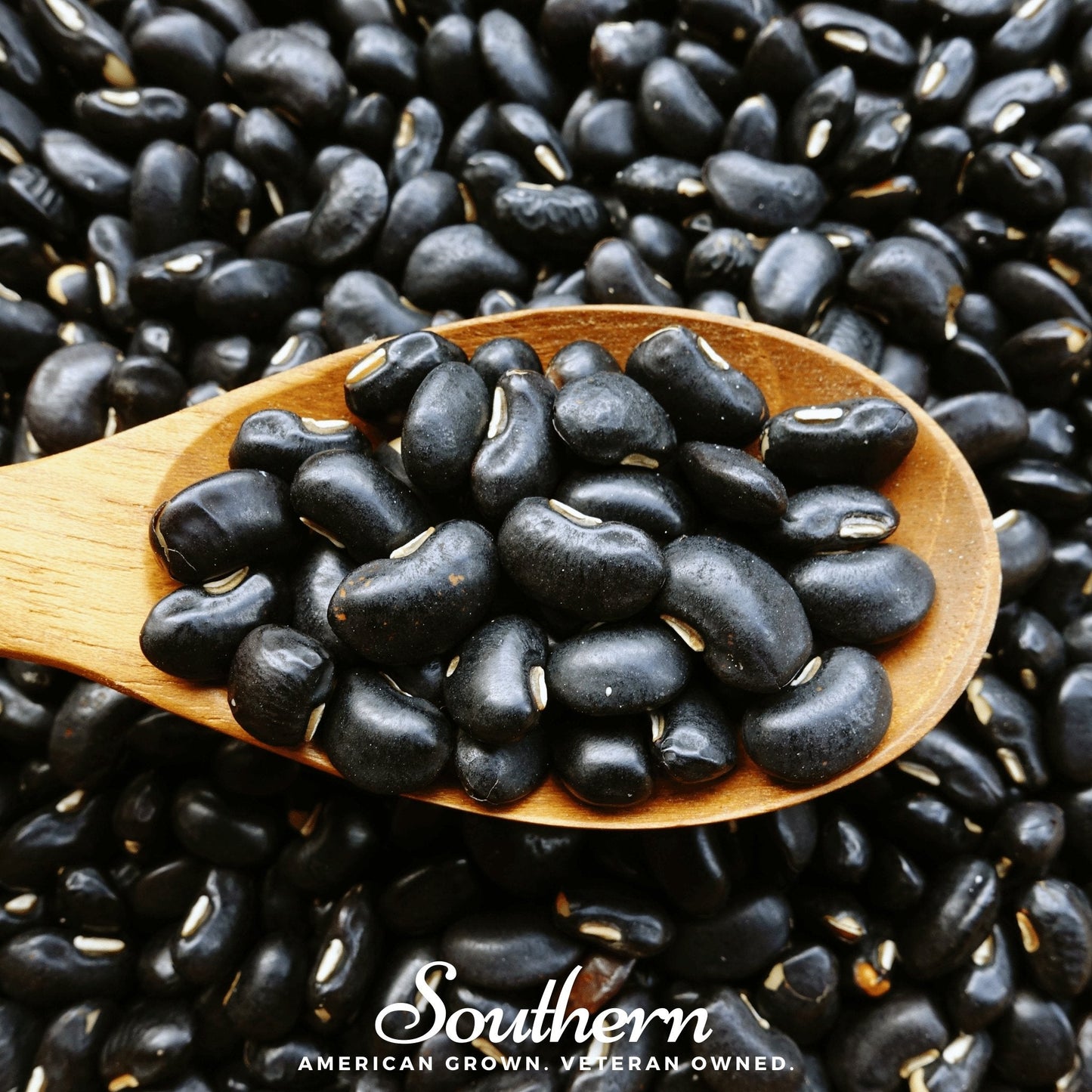 Black Coco Bean (Bush) – 30 Seeds