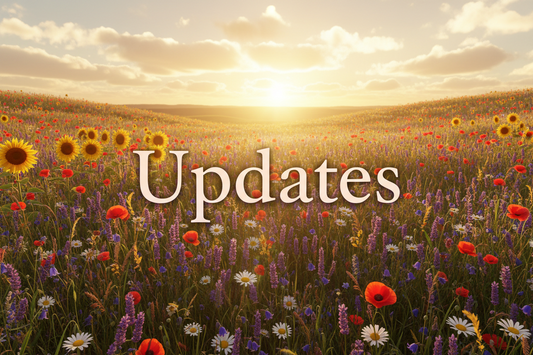 Mid-May Check-In & Updates