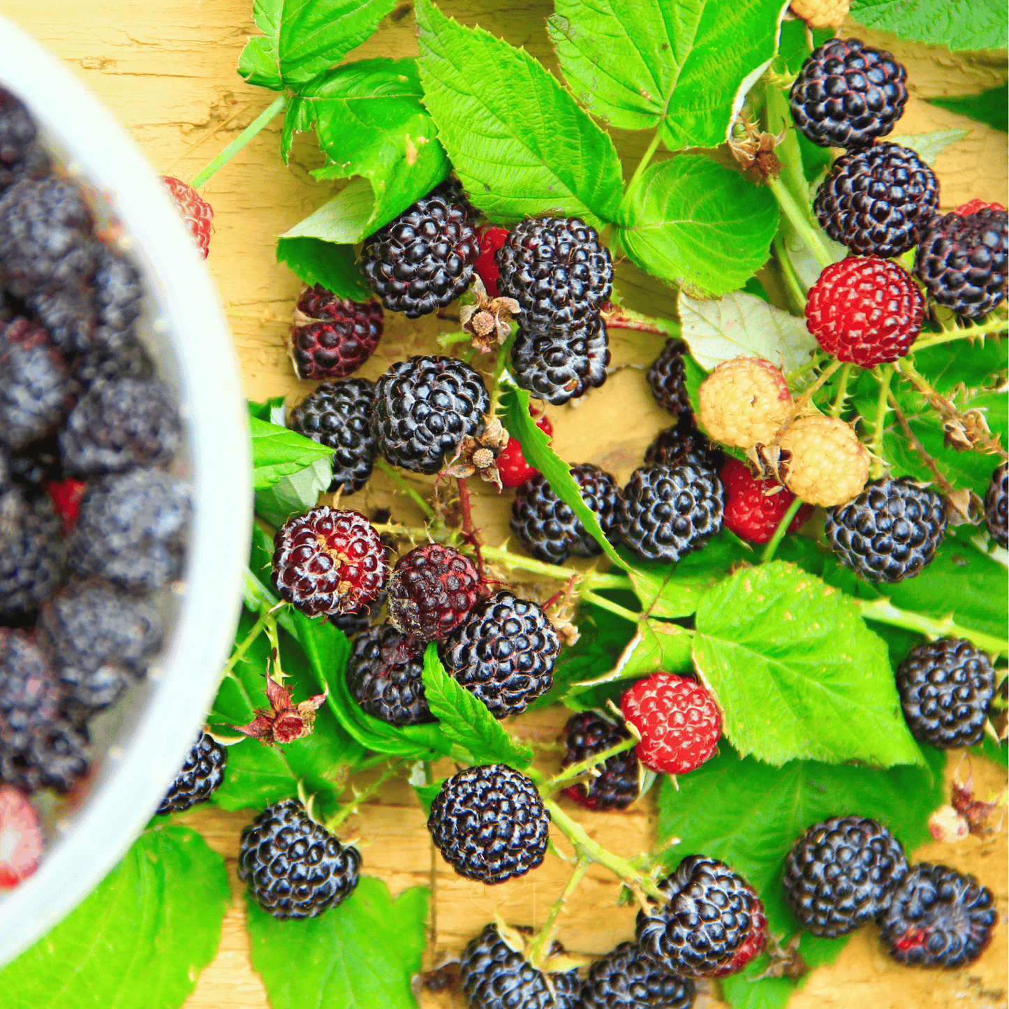 Black Raspberry – 30 Seeds